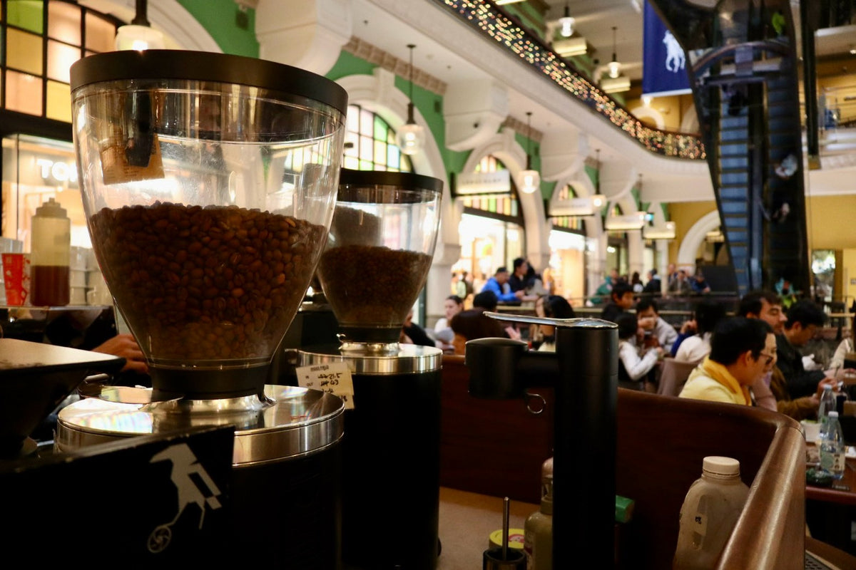 コーヒー豆の入ったグラインダーとシドニーの店内